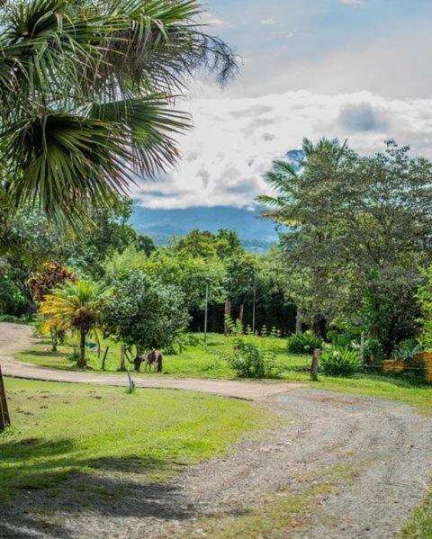 Linda Casa De Verano Con Amplias Zonas Verdes San Isidro De El General Екстер'єр фото