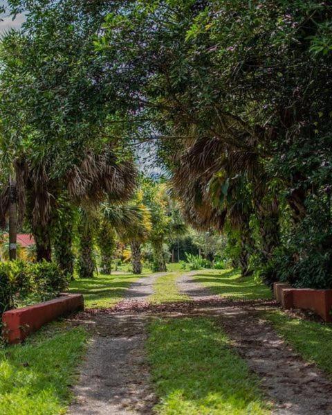 Linda Casa De Verano Con Amplias Zonas Verdes San Isidro De El General Екстер'єр фото